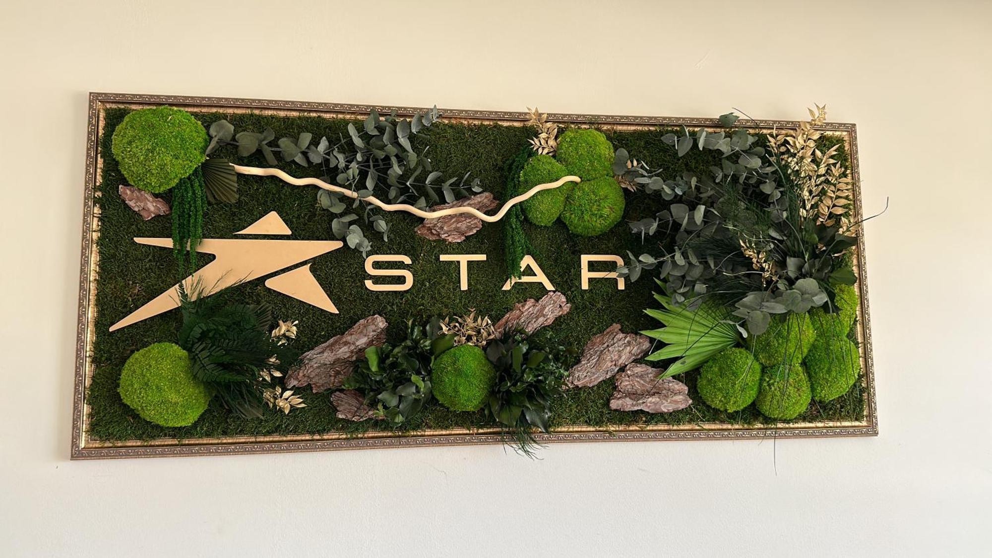 Star Hotel 툴체아 외부 사진